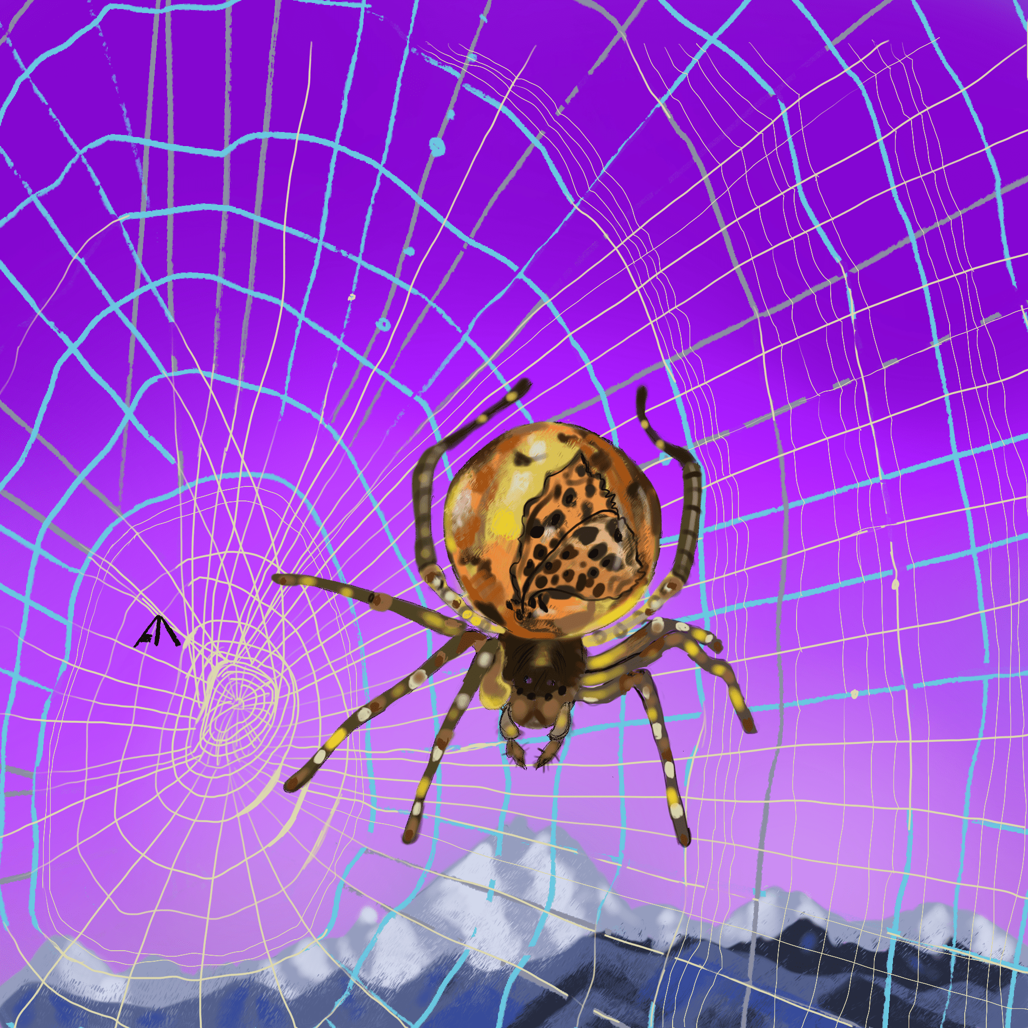 Amber filled spider